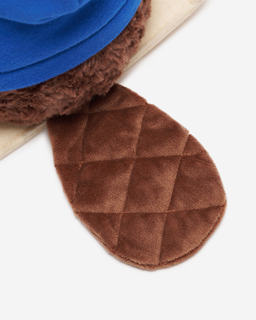 alpine goods - estuche para snowboard