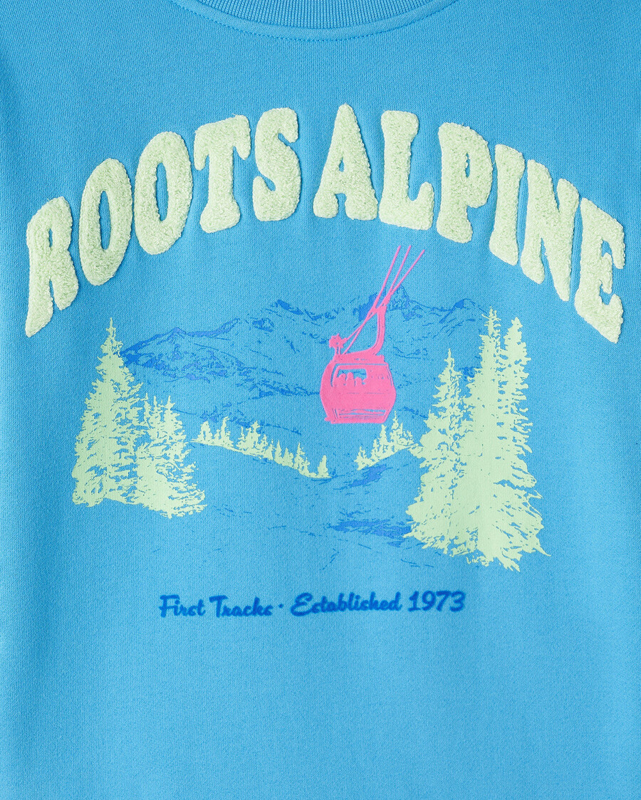sudadera con capucha y paisaje alpino para niños