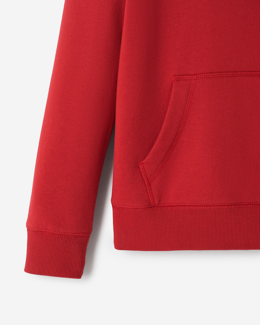 sudadera con capucha infantil del año del caballo