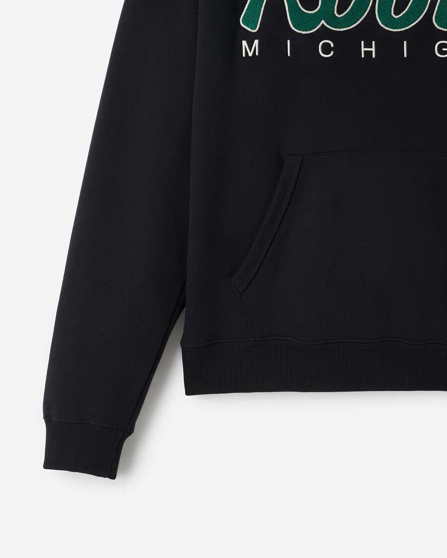sudadera con capucha local de michigan roots