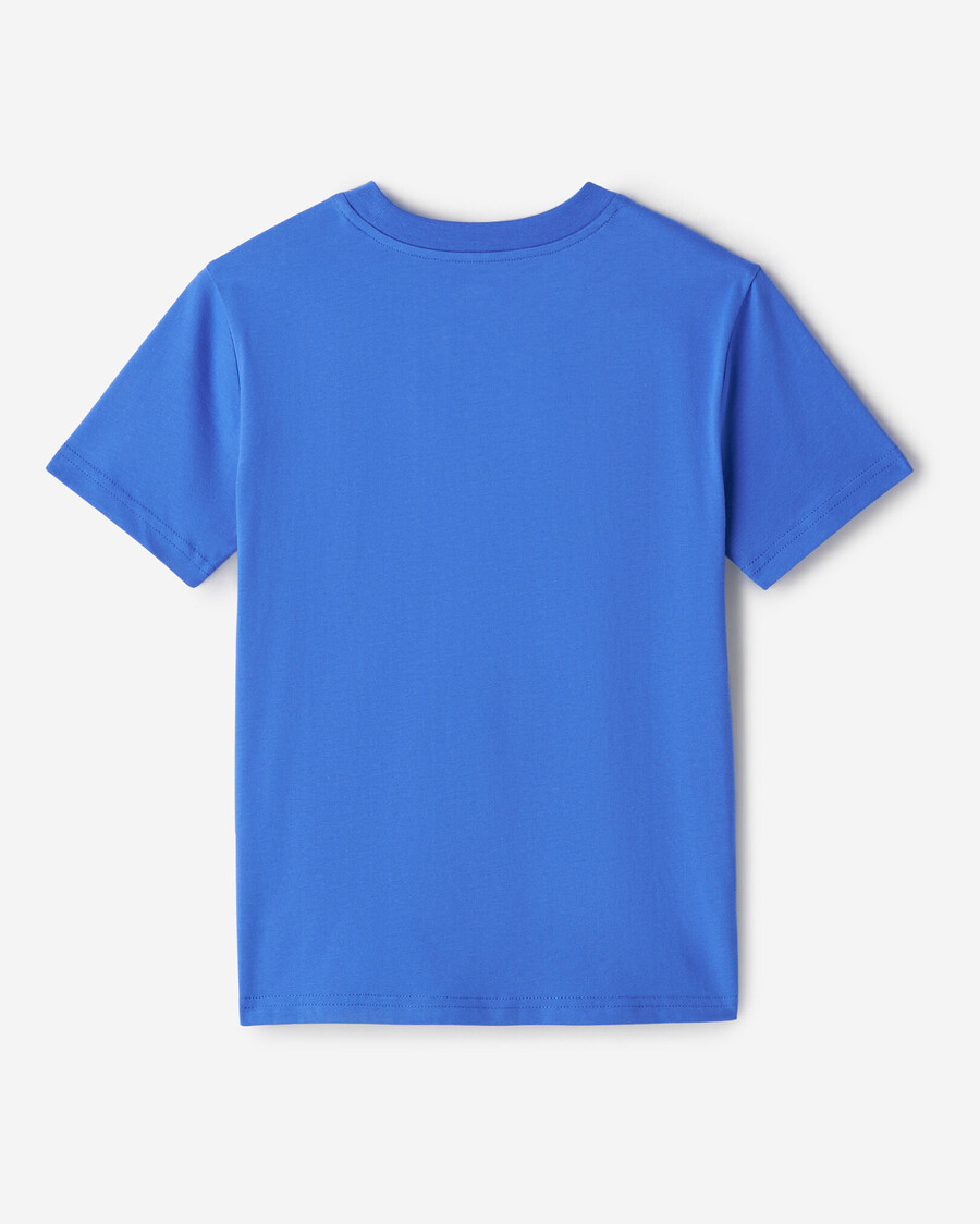 camiseta gráfica con datos sobre animales para niños